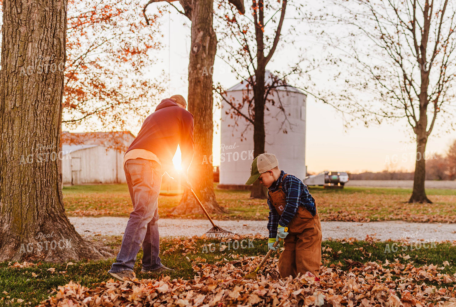 Raking Leaves 115163
