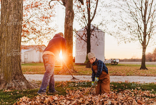 Raking Leaves 115163