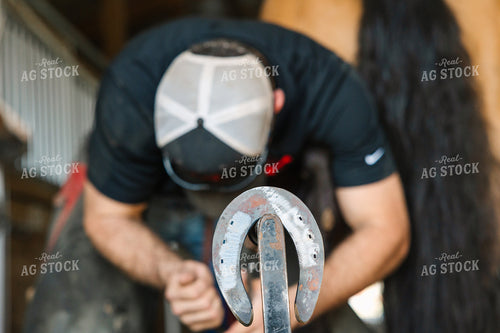 Farrier Fitting Horseshoes 52713
