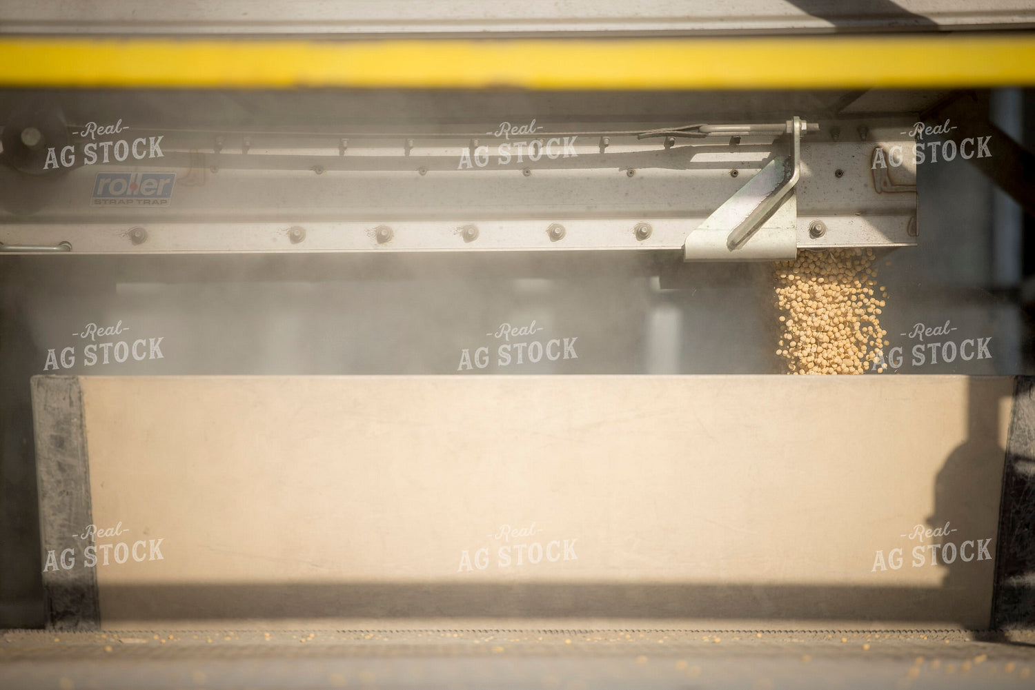 Unloading Harvested Soybeans 250047