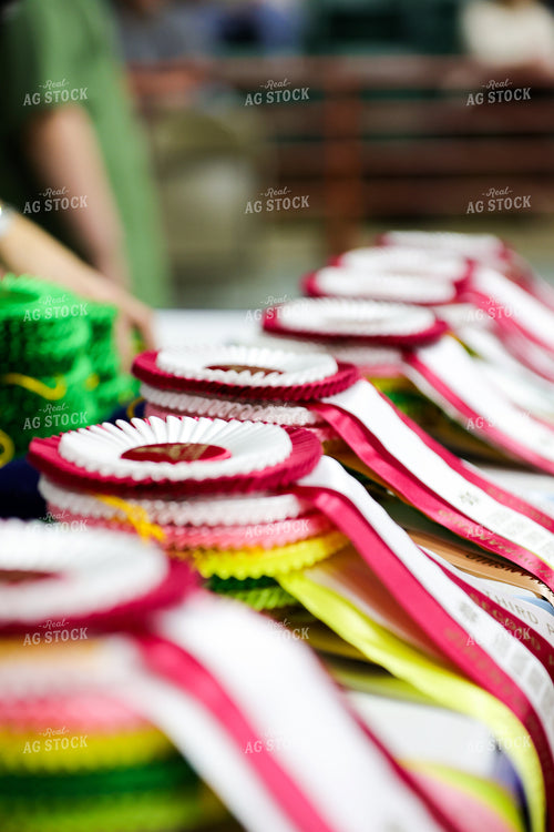 Ribbons at Livestock Show 52603