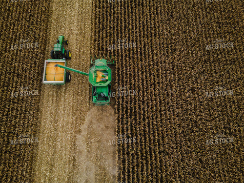 Corn Harvest 115100
