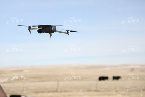 Drone Flying 117020