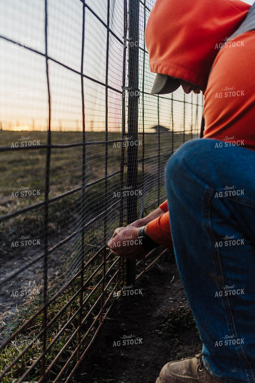 Farmer Fixing Fence 115142