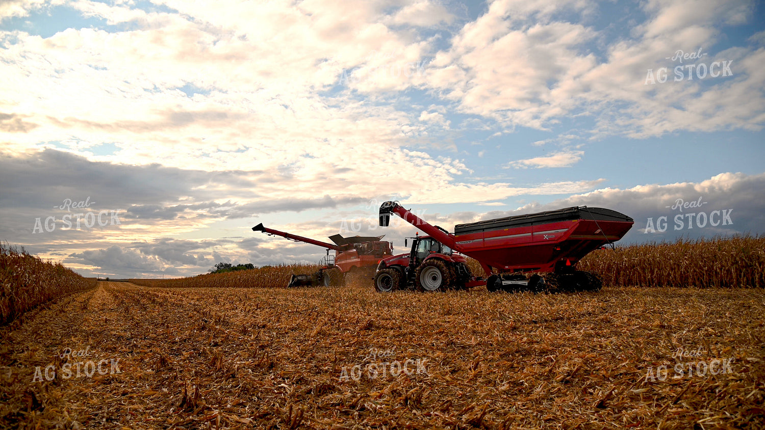 Combine Unloading Corn into Auger Wagon on the Go 25639