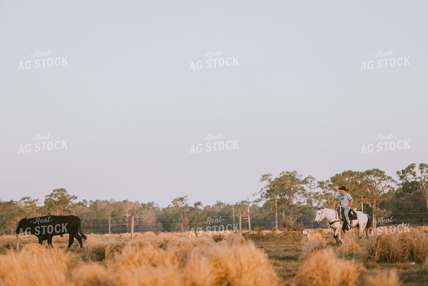 Florida Ranch 7281