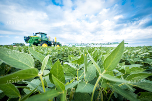Spraying Soybeans 250073