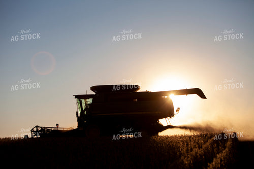 Harvest 1812
