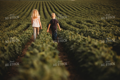 Farm Kids in Soybean Field 4565