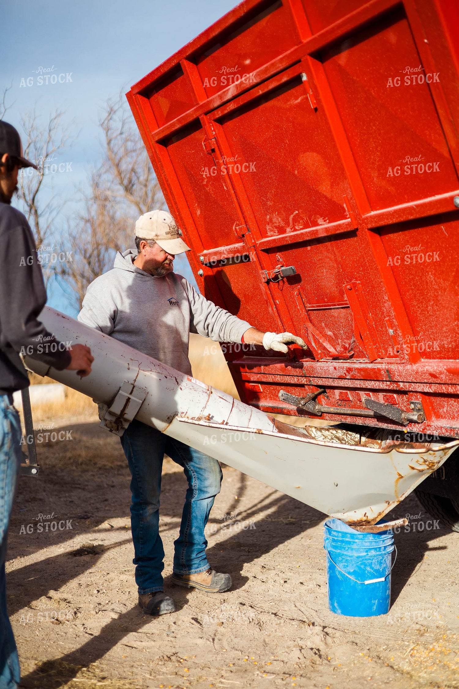Grinding Corn to Feed Cattle 97268