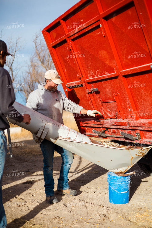 Grinding Corn to Feed Cattle 97268