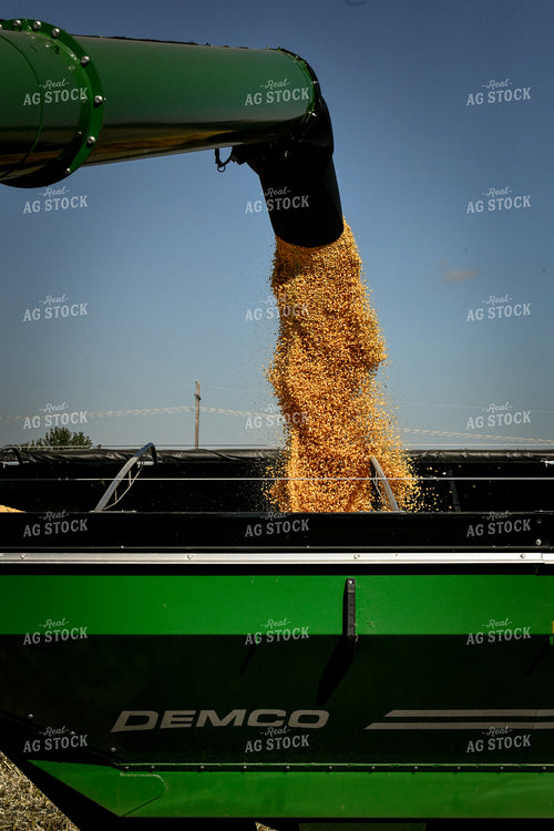 Corn Kernels Spilling Out of Auger 86033
