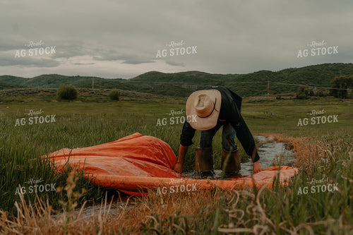 Cowboy in Pasture 58337