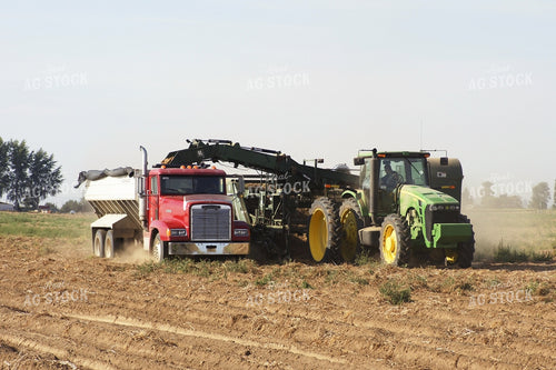 Potato Harvest 146018