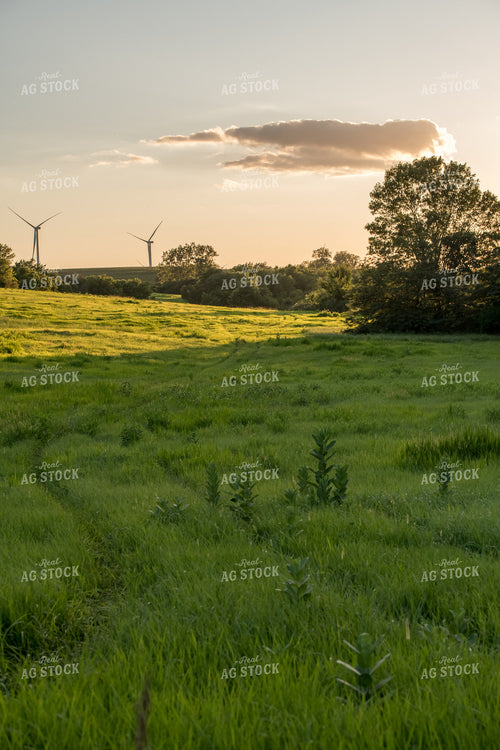 Scenic Summer Views 76476