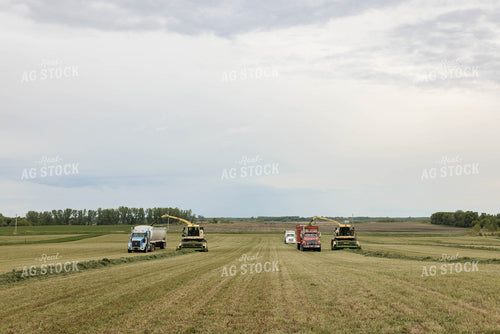Harvesting Haylage 152795