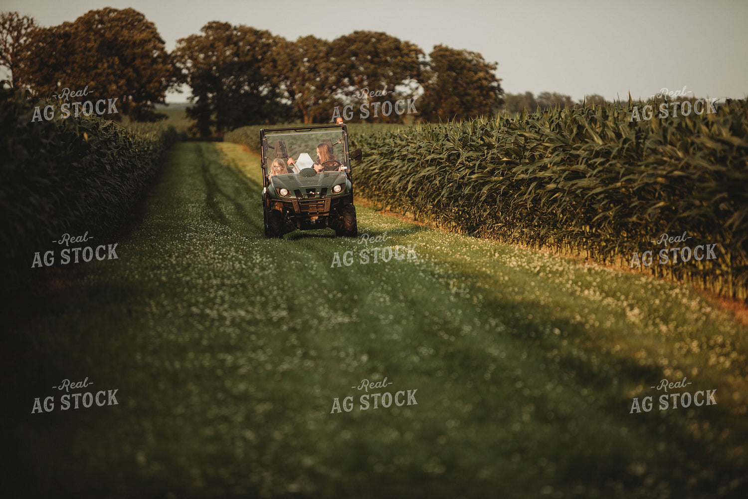 Farm Kids in UTV Alongside Corn Fields 4553