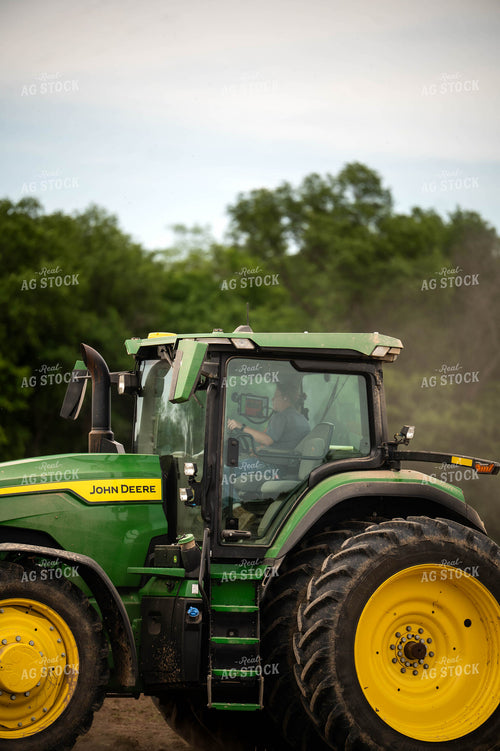 Planting 115679