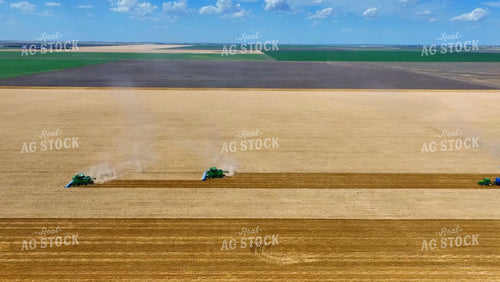 Aerial of Wheat Harvest 199079