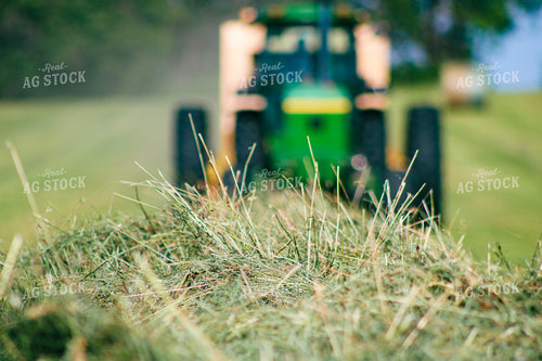 Cut Hay 214040