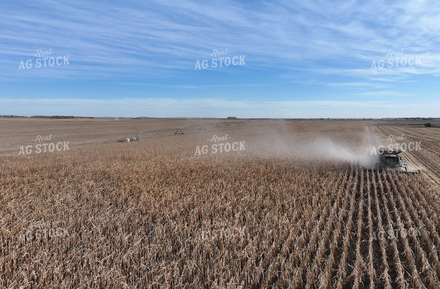 Corn Harvest 141503