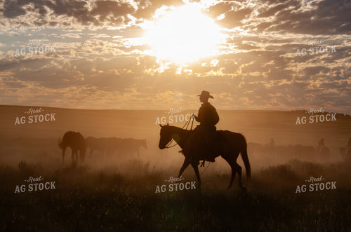 Herding Horses 188012