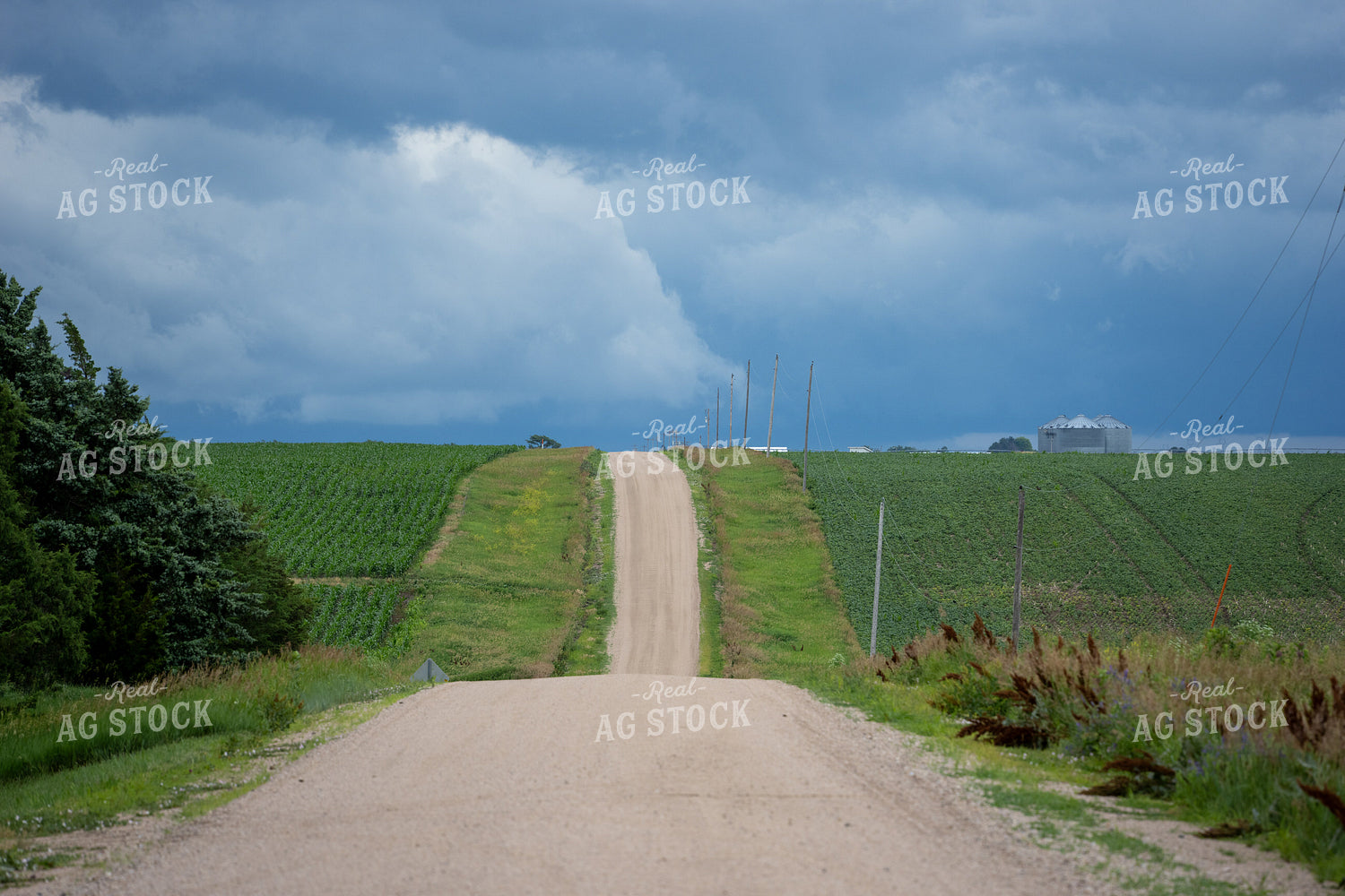Rural Road 65843