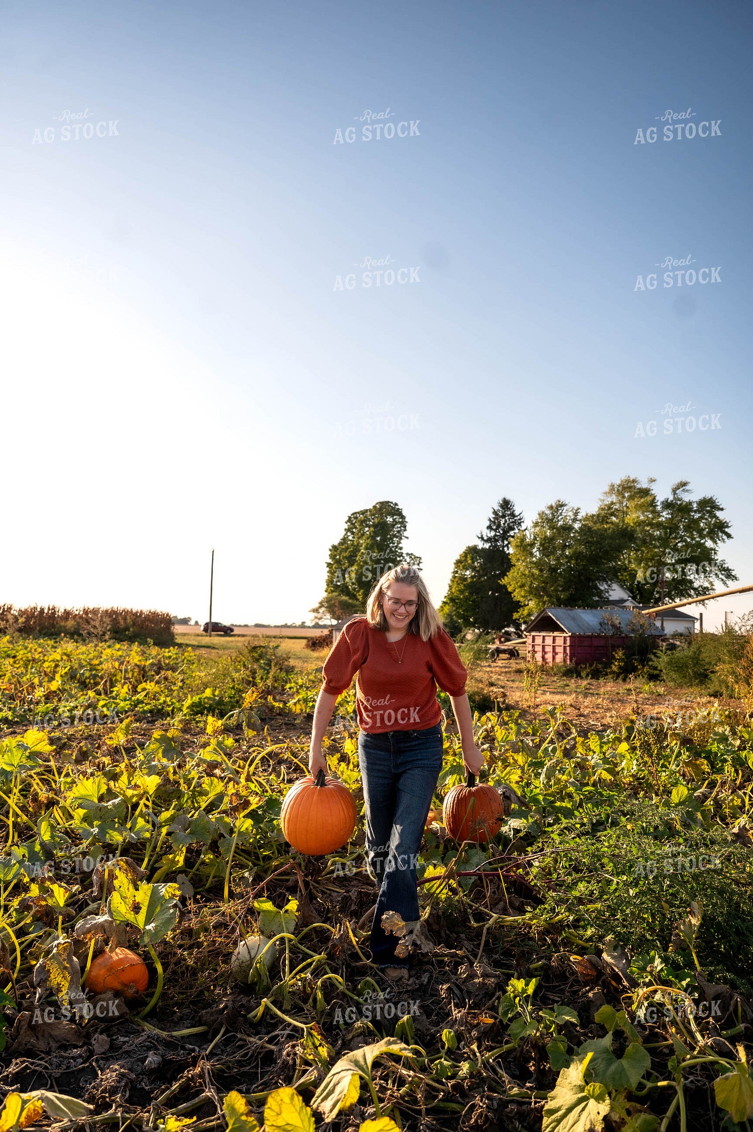 Farmer in Pumpkin Patch 115864