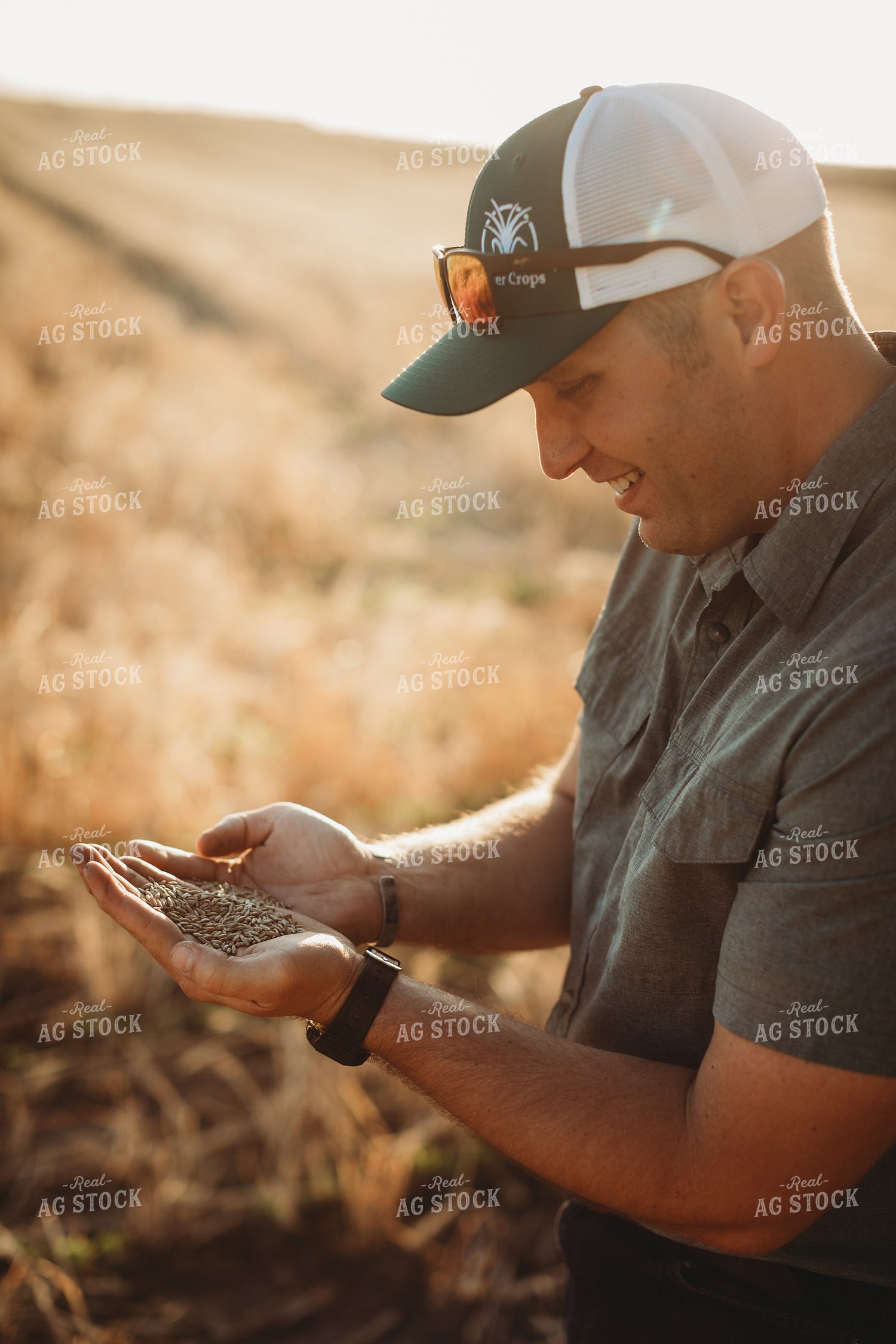 Farmer Agronomist Holding Rye Seed in Hand 5868