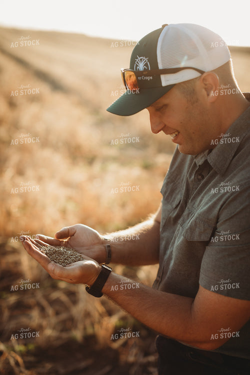 Farmer Agronomist Holding Rye Seed in Hand 5868