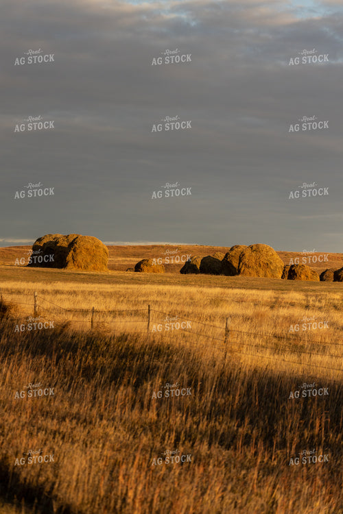 Hay Stacks at Sunset 71004