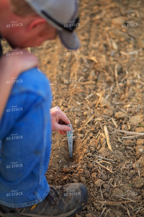 Farmer Checks Seed Depth After Planting 93204