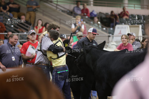 Showing Cattle 52693