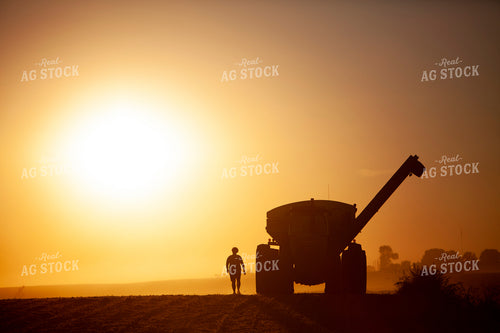 Harvest 1826