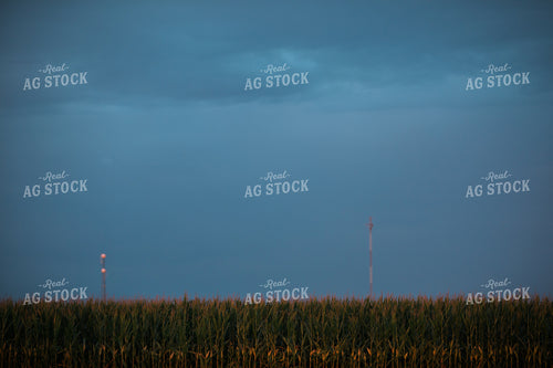 Corn Field Dark Sky 3216