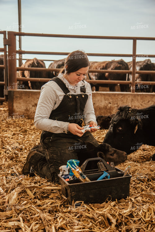 Tagging Calves 67639