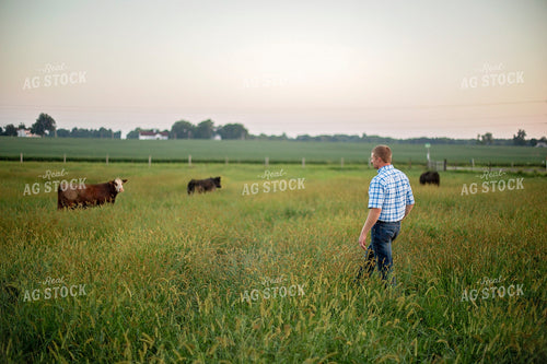 Farmer in Cattle Pasture 93235