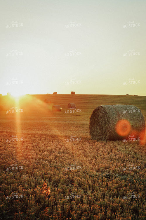 Hay Bales 83088
