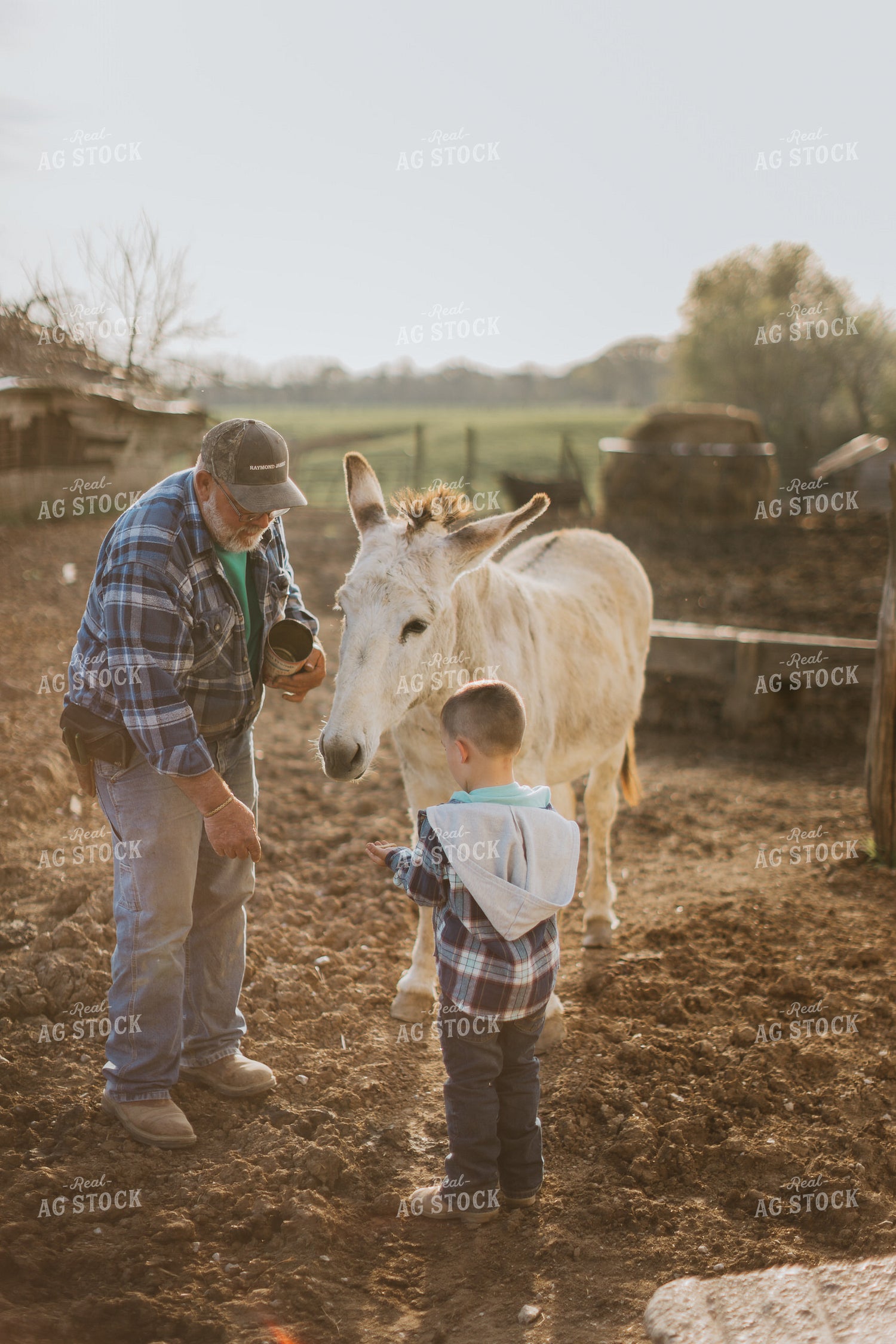Farmer and Farm Kid with Donkey 7395