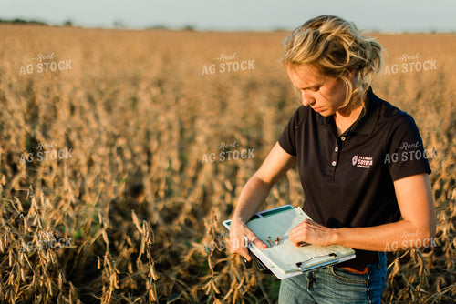 Female Agronomist Checking Beans 8311