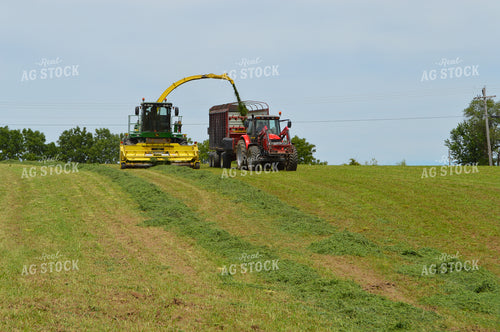 Harvesting Hay Silage 206047