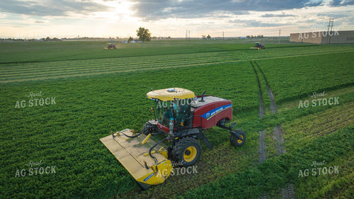 Cutting Alfalfa Hay Drone 56337