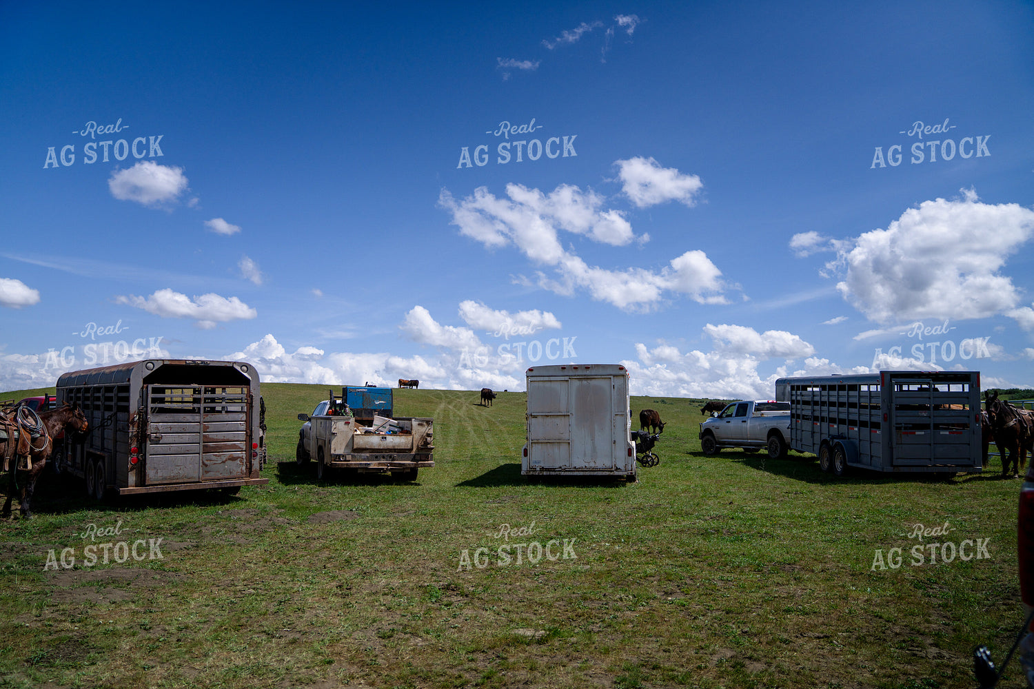 Trucks and Trailers Parked in an Open Field Under a Blue Sky 65282