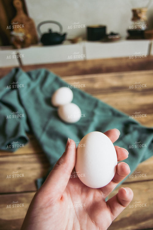 Eggs 67869