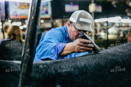 Clipping Cattle 90163