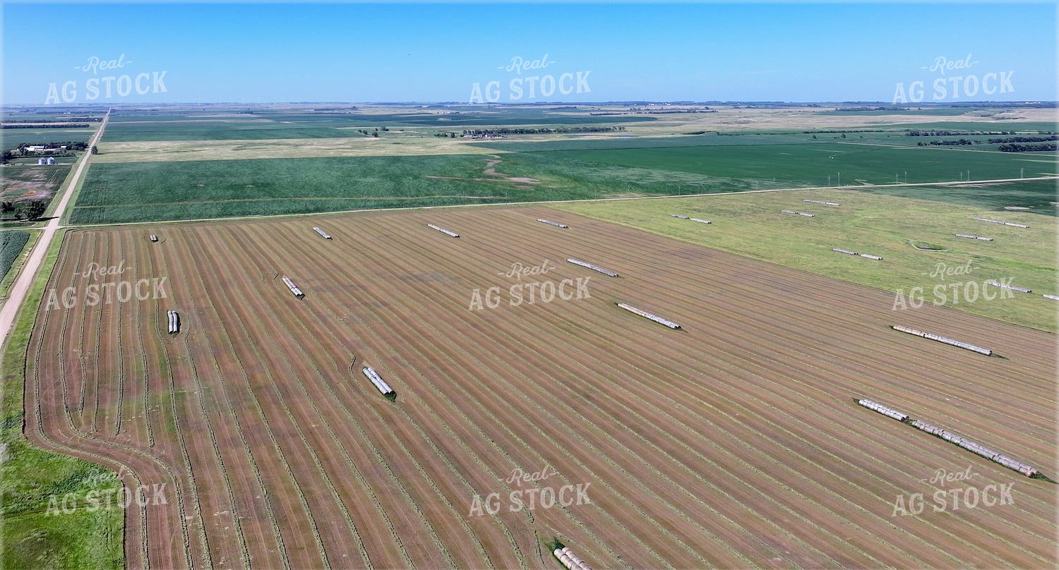 Aerial of Hay Field 141619