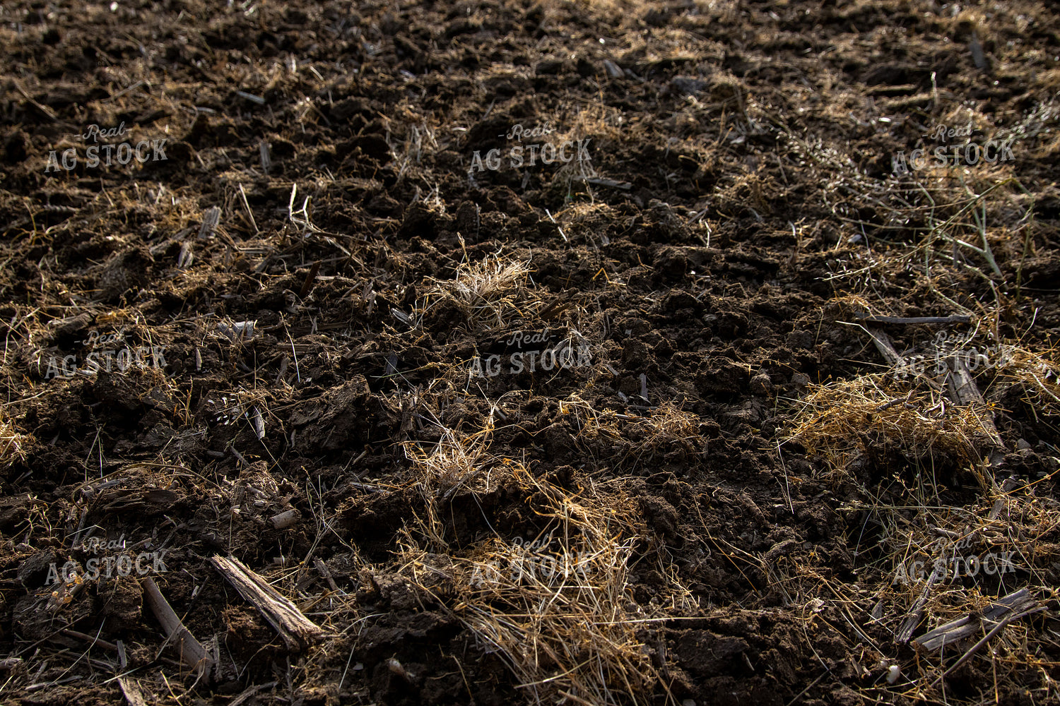 Freshly Tilled Spring Soil 52090