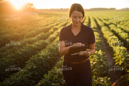 Agronomist or Farmer in Soybean Field with Tablet 6093