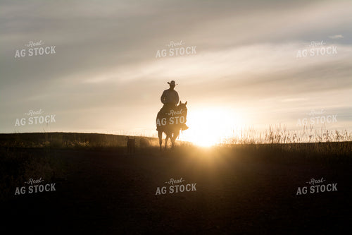 Rancher and Horse Silhouette 69022