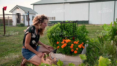 Farm Wife in the Garden - 388